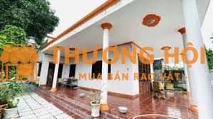 Nhà Mặt Tiền TL15: 1341m2 Đường Container Thông - Sẵn Nhà Cấp 4,