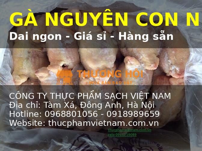 Phân Phối Gà Đông Lạnh Cho Nhà Hàng, Quán Ăn, Bếp Công Nghiệp