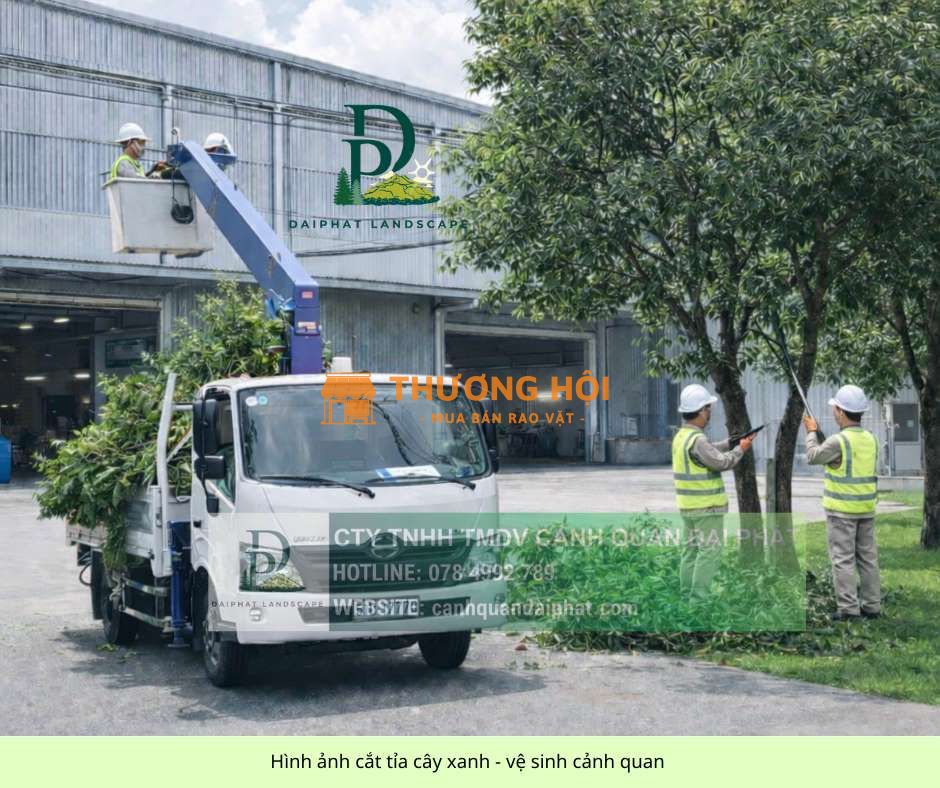 Dịch vụ Cắt cỏ, Cắt tỉa và Chăm sóc cây xanh nhà xưởng KCN Bình Dương