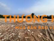 Cho Thuê Bãi Tại Đường Đại Linh