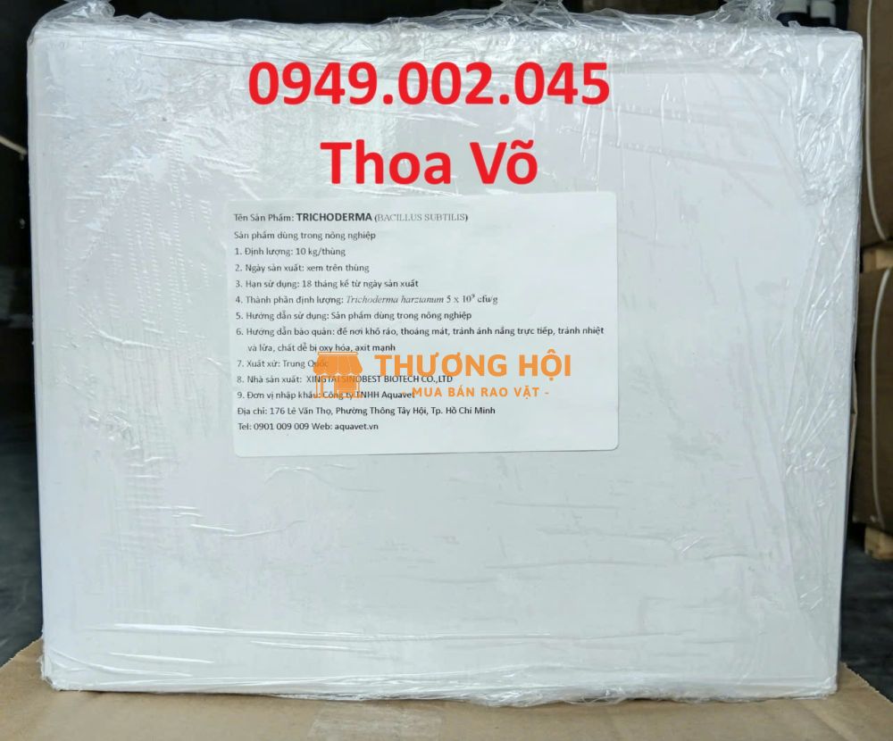 TRICHODERMA – NẤM ĐỐI KHÁNG XỬ LÝ ĐẤT, PHÒNG THỐI RỄ, KÍCH THÍCH RỄ CÂY