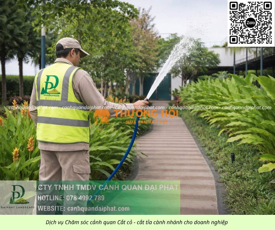 DỊCH VỤ CẮT CỎ – CHĂM SÓC CÂY XANH KCN LỘC AN BÌNH SƠN ĐỒNG NAI