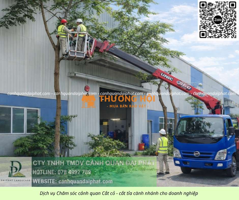 DỊCH VỤ CẮT CỎ – CƯA CÂY BÌNH DƯƠNG CHUYÊN NGHIỆP, GIÁ HỢP LÝ