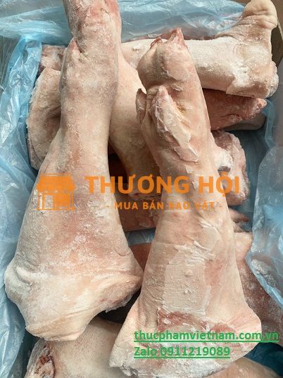 Chân Giò Heo Canada Nhập Khẩu – Bì Giòn, Thịt Nạc Mềm Tự Nhiên
