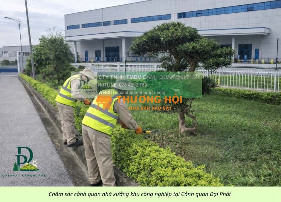 CHĂM SÓC CÂY XANH – CẮT CỎ KCN AN PHƯỚC ĐỒNG NAI