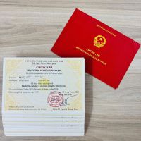 Nguyễn Phạm Đài Trang