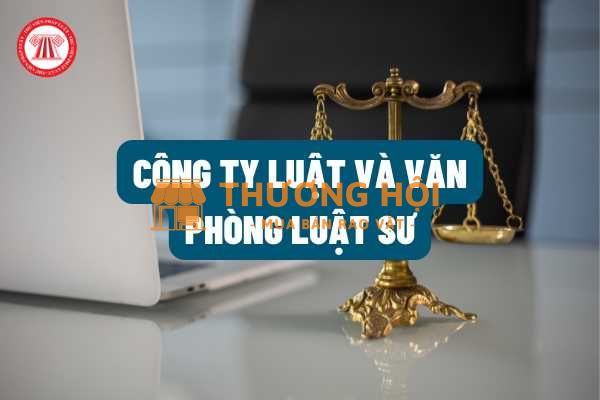 Công ty dịch vụ văn phòng luật sư Quận 3 TPHCM Sài Gòn