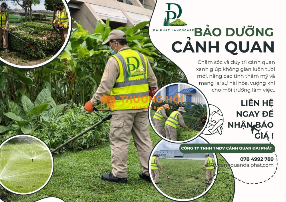 Dịch vụ cắt cỏ – chăm sóc cây xanh Thủ Đức, TPHCM