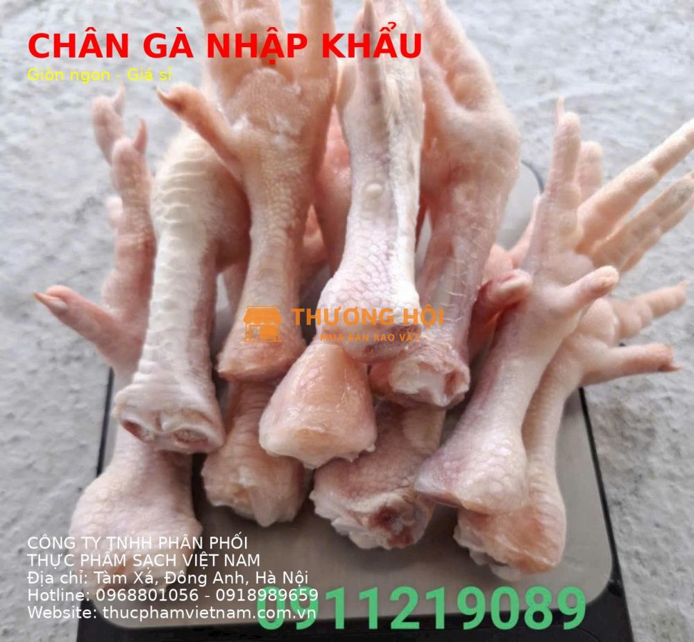 Đại Lý Chân Gà Đông Lạnh Nhập Khẩu Giá Tốt