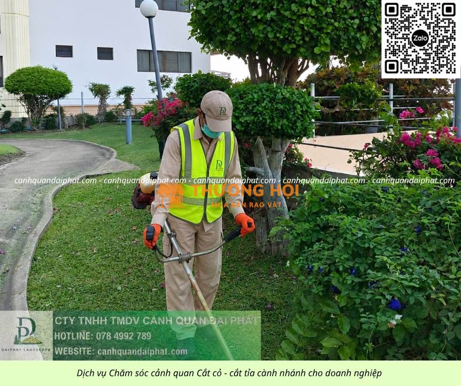 DỊCH VỤ CHĂM SÓC CÂY XANH – THẢM CỎ KCN LONG ĐỨC, ĐỒNG NAI
