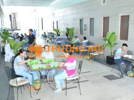 Nhân viên căn tin bệnh viện