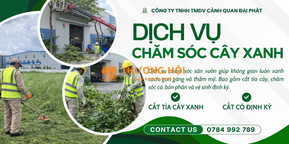 DỊCH VỤ CẮT CỎ - CƯA CÂY TAM PHƯỚC, ĐỒNG NAI