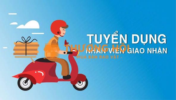 Tuyển 1 nam nhân viên giao hàng trong thành phố