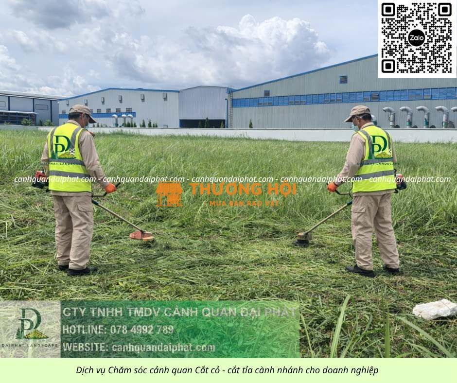 NHÀ CUNG CẤP DỊCH VỤ CẢNH QUAN ĐỒNG NAI