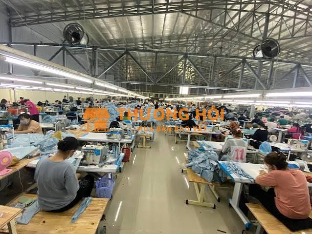 [KO CẦN KN, CÓ THƯỞNG] 50 CÔNG NHÂN MAY