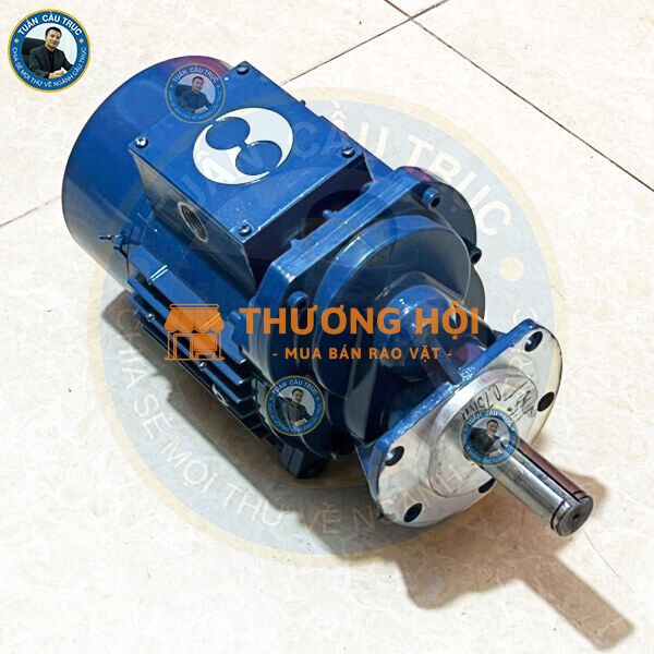 Động cơ di chuyển pa lăng Sungdo 0.75kw X 4P